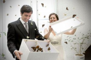 sortie-de-ceremonie-mariage-papillons