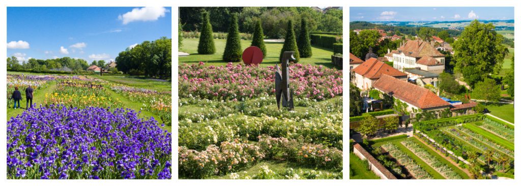 picnic-in-the-parc-with-flowers