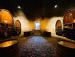 Cave du Château prête pour dégustation des vins du domaine
