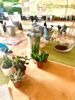 Teambuilding Tiny Garden aux Portes des Iris