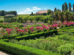Article de blog-demande en mariage-Jardins du Château de Vullierens-4