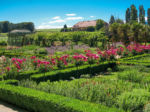 Article de blog-demande en mariage-Jardins du Château de Vullierens-4