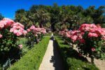 Article de blog-demande en mariage-Jardins du Château de Vullierens-5